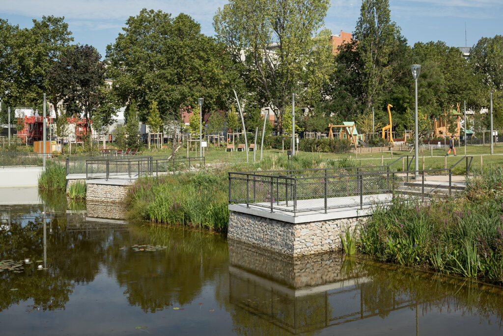 Le bassin près du TEP favorisera la petite faunes et la flore